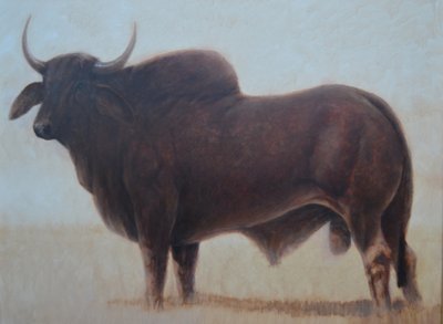 Brahmanenbulle von Lincoln Seligman